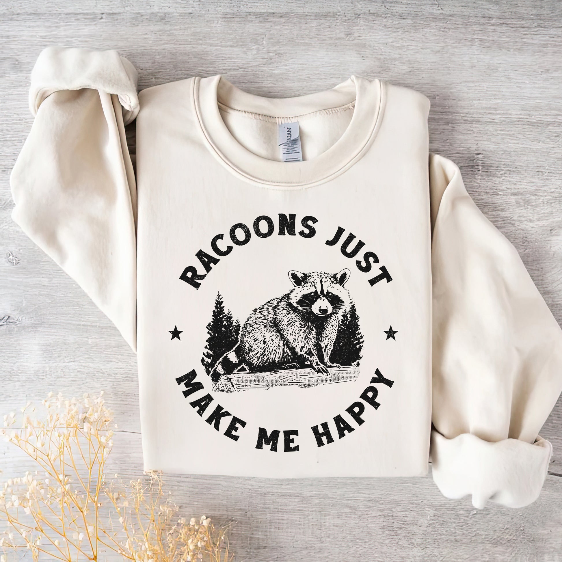 Raccoons Just Make Me Happy Sweatshirt - Beige