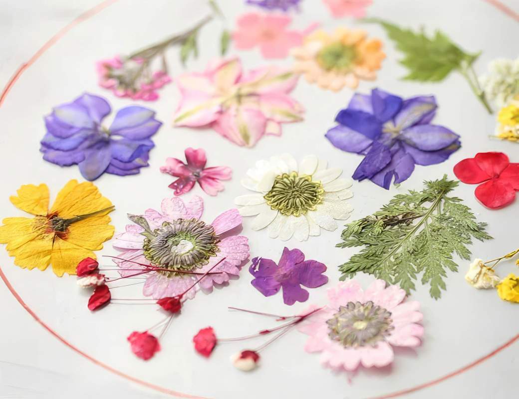 easy-to-make-diy-pressed-flower-suncatchers-6