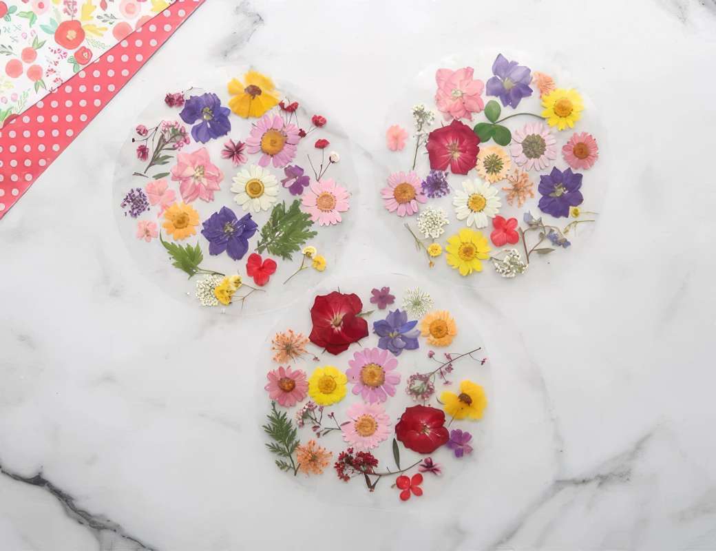 easy-to-make-diy-pressed-flower-suncatchers-9