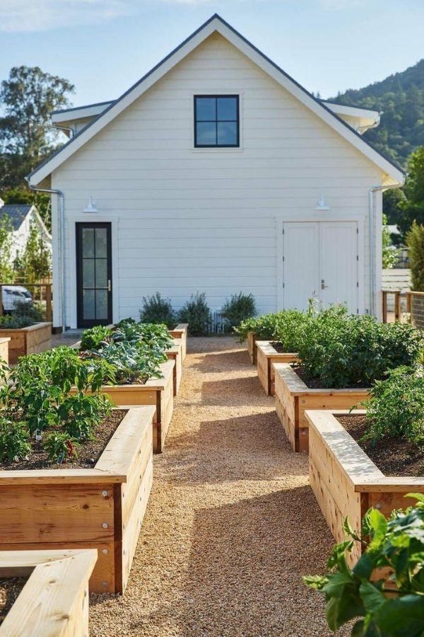 Front entry pathway with cedar raised beds, lettuce and basil layers, white house exterior, stone walkway, bright natural sunlight for front yard vegetable garden ideas.