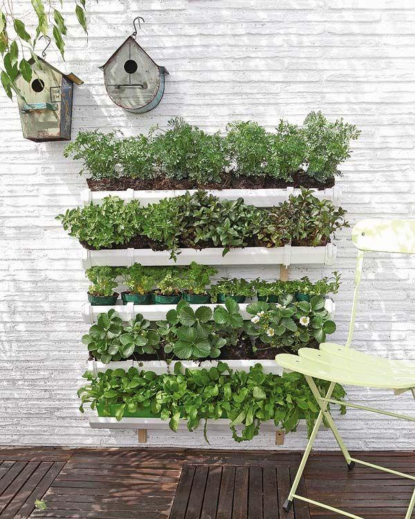 Mounted planter boxes on front fence, strawberries trailing, layered edible greens, soft shadows, realistic small-space garden