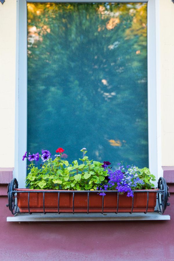 Window Box Herb and Greens Facade Accents