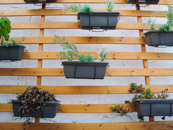 Front door entrance with grouped clay planters, edible herbs and vegetables, tilted doormat, warm soft light for front vegetable garden ideas.