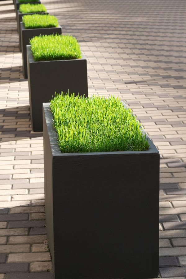 Minimal planter grids that make front yard vegetable garden design ideas look clean, stylish, and beginner friendly.