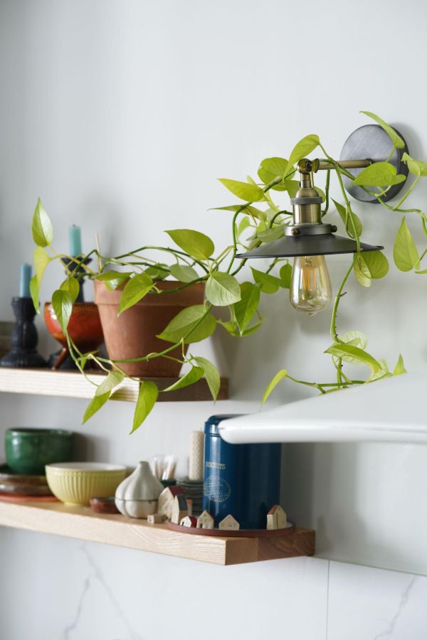 Kitchen shelf styling with plants and pots
