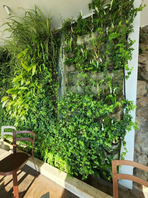 Green wall freshens everything