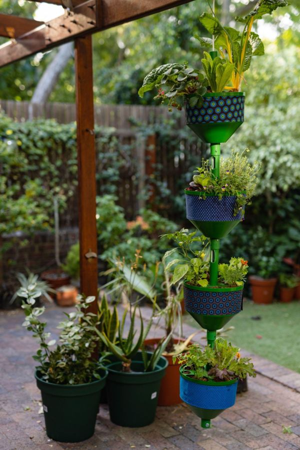 Small backyard with vertical garden wall