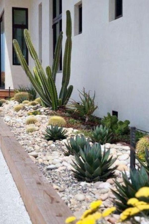Sculptural cactus patio styling