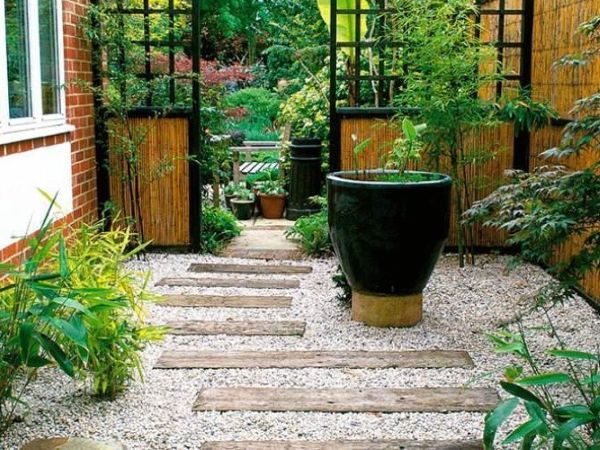 Sculptural tree courtyard patio