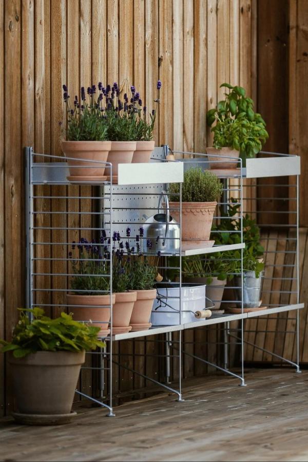 Backyard vegetable garden shelf with metal rack, terracotta pots, and herbs like lavender and basil arranged against a wooden wall