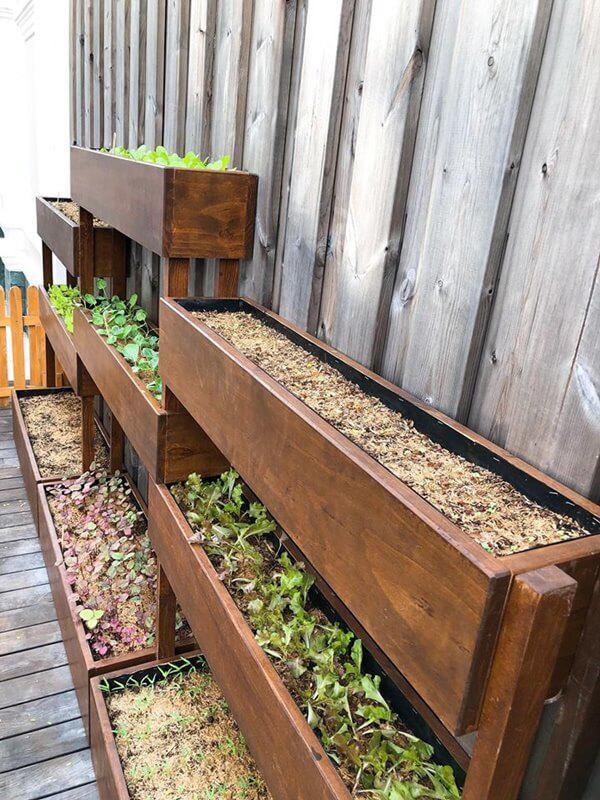 Fresh leafy greens fill these wooden raised beds, bringing a clean and vibrant look to the backyard