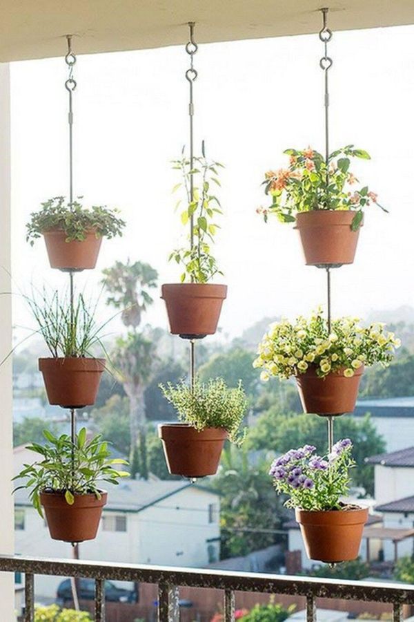 Compact backyard corner with hanging pots of vegetables, wood fence background, soft sunlight and layered greenery