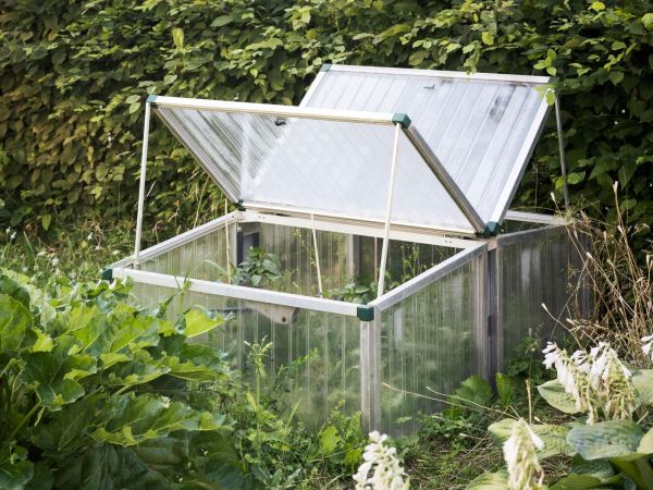 Compact mini greenhouse box in a backyard, with clear panels and small vegetable plants growing inside