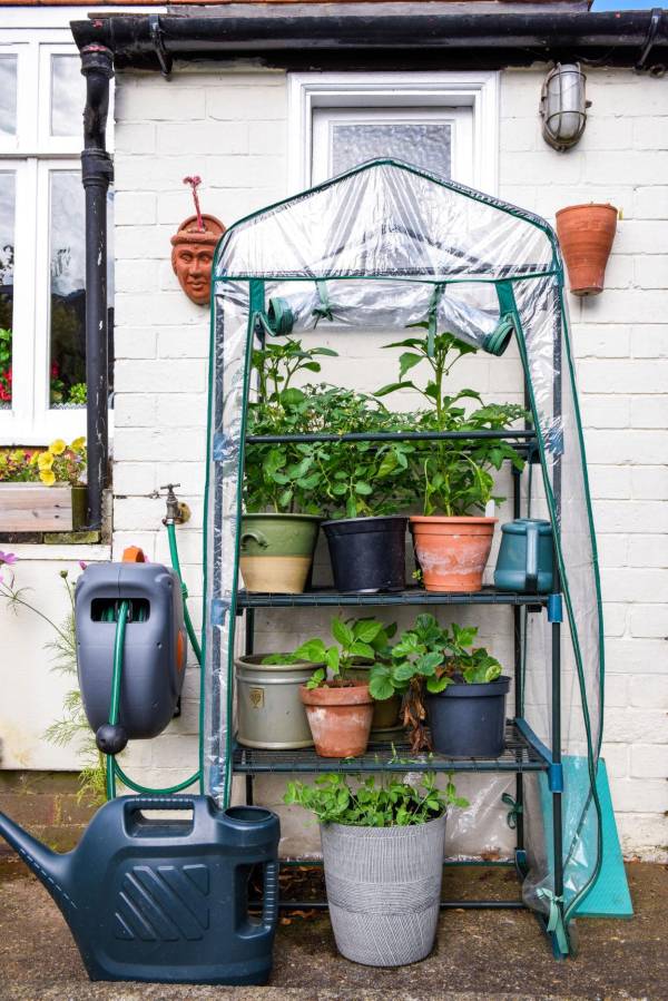 Tiny metal shelf greenhouse with a clear plastic cover, neatly holding potted vegetables