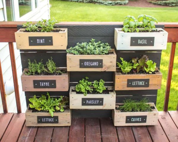 Rustic pallet vegetable garden with labeled wooden planter boxes, growing herbs like mint, basil, oregano, thyme, and lettuce on a small deck