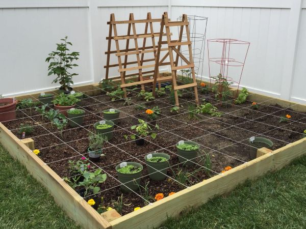 Square foot backyard vegetable garden with raised wooden bed, grid layout, young plants, and simple trellis against a white fence