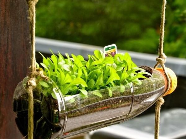 Creative DIY recycled bottle planters bring fresh greenery to these modern small balcony vegetable garden ideas