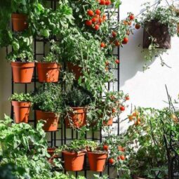 Potted Vegetable Garden Ideas for Beginners and Small Spaces - Tee Art Online @teeartonline