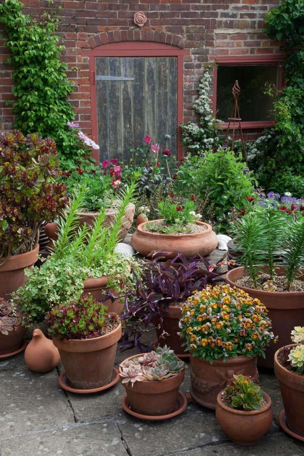 Terracotta pots filled with herbs, flowers, and greenery arranged in a cozy cottage-style patio garden beside a rustic brick wall – Tee Art Online @teeartonline