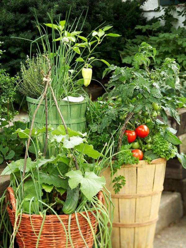 Cottagecore herb and vegetable garden with woven baskets, wooden planters, tomatoes, cucumbers, peppers, and fresh herbs – Tee Art Online @teeartonline
