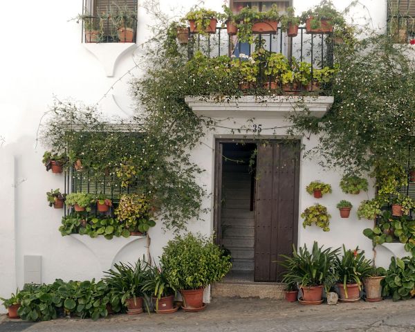 Mediterranean-style white stucco house decorated with terracotta pots, trailing vines, and lush balcony container plants – Tee Art Online @teeartonline