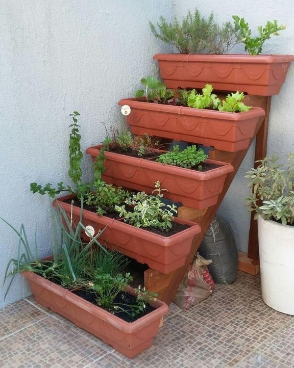 Boho-style ladder garden with terracotta planter boxes filled with fresh herbs and leafy vegetables in a small patio corner – Tee Art Online @teeartonline