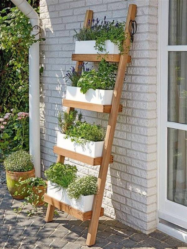 Boho ladder herb garden with white planter boxes filled with lavender, basil, rosemary, and fresh herbs against a sunny patio wall – Tee Art Online @teeartonline