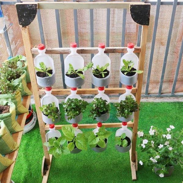 DIY pot vegetable garden made from reused plastic bottles arranged vertically on a wooden stand for growing herbs and leafy greens – Tee Art Online @teeartonline