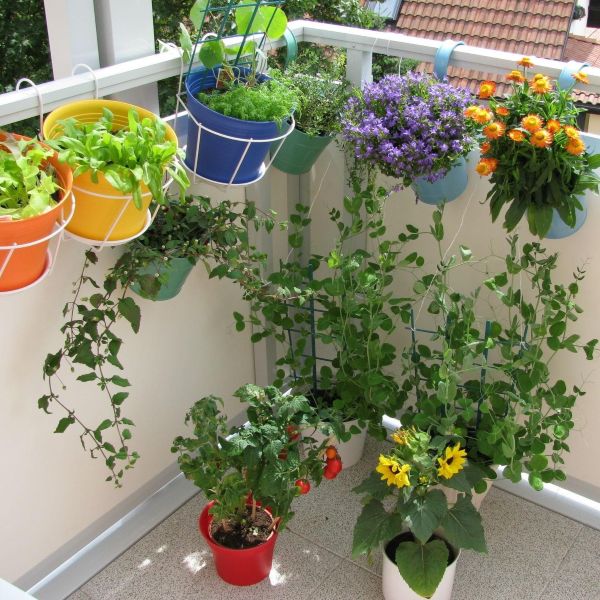 Colorful hanging pots with herbs, flowers, and vegetables arranged on a sunny apartment balcony garden - Tee Art Online @teeartonline